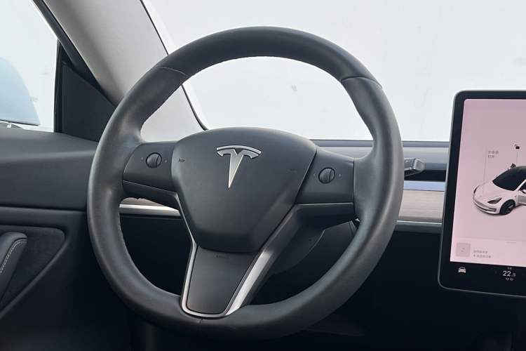 Used Tesla Model 3 2019 Standard Range Rear-Wheel Drive Upgraded Version (60 kWh) Steering Wheel