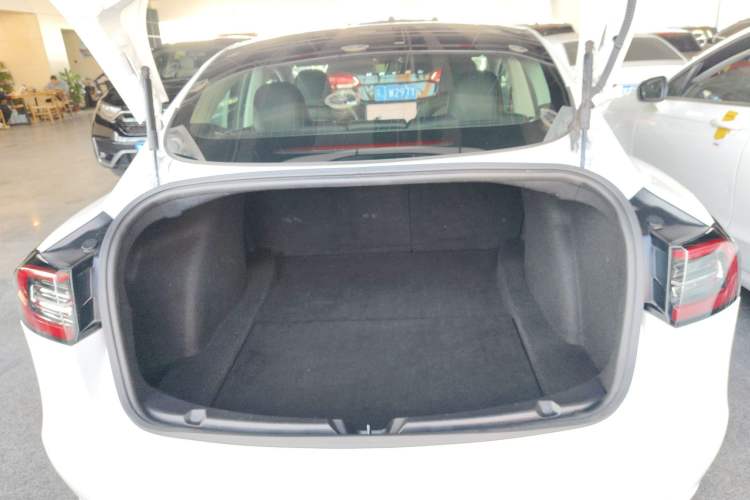 Used Tesla Model 3 2019 Standard Range Rear-Wheel Drive Upgraded Version (60 kWh) Trunk