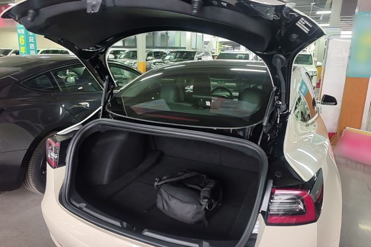 Used Tesla Model 3 2019 Standard Range Rear-Drive Upgraded Version Trunk