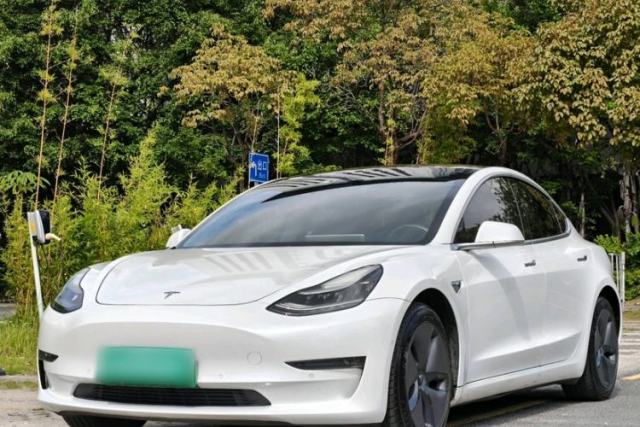 Used Tesla Model 3 2019 Long-Range Rear-Wheel-Drive Version