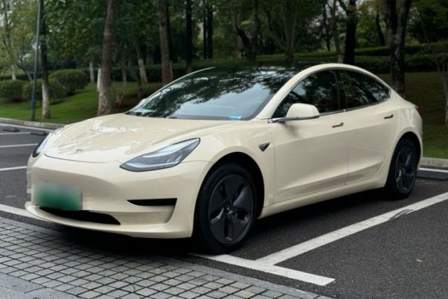 Used Tesla Model 3 2019 Standard Range Rear-Drive Upgraded Version