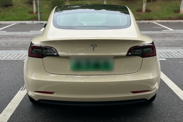 Used Tesla Model 3 2019 Standard Range Rear-Drive Upgraded Version Exterior 1