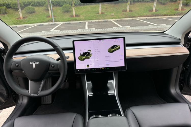 Used Tesla Model 3 2019 Standard Range Rear-Drive Upgraded Version Exterior 10