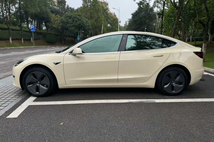 Used Tesla Model 3 2019 Standard Range Rear-Drive Upgraded Version Exterior 13