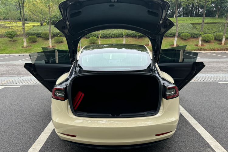 Used Tesla Model 3 2019 Standard Range Rear-Drive Upgraded Version Exterior 4