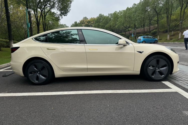 Used Tesla Model 3 2019 Standard Range Rear-Drive Upgraded Version Exterior 6