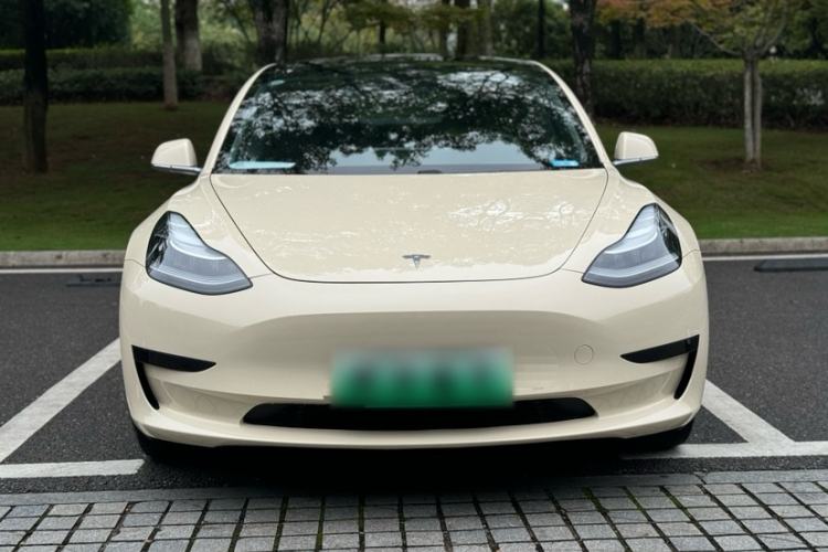 Used Tesla Model 3 2019 Standard Range Rear-Drive Upgraded Version Exterior 7