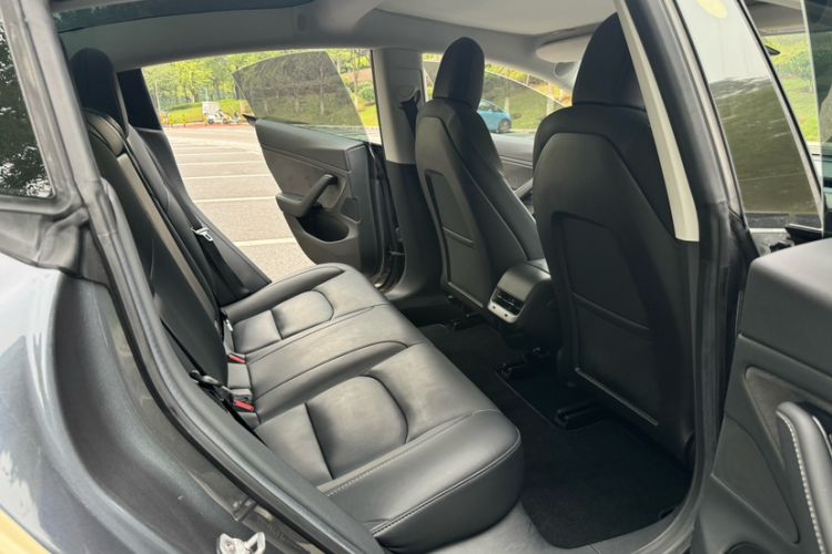 Used Tesla Model 3 2019 Standard Range Rear-Drive Upgraded Version Exterior 8