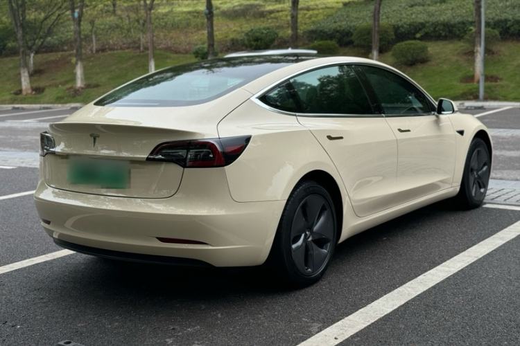 Used Tesla Model 3 2019 Standard Range Rear-Drive Upgraded Version Exterior 9