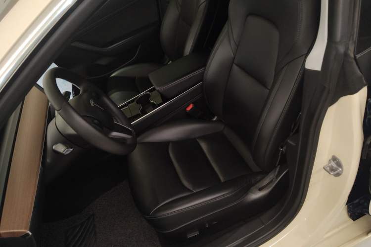 Used Tesla Model 3 2019 Standard Range Rear-Drive Upgraded Version Left Front Seat