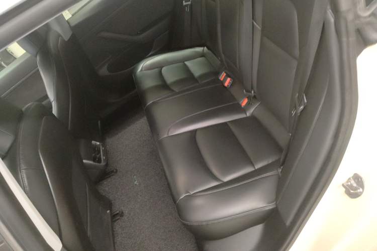 Used Tesla Model 3 2019 Standard Range Rear-Drive Upgraded Version Left Rear Seat