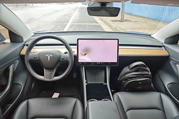 Used Tesla Model 3 2020 Standard Range Rear-Wheel Drive Upgraded Version Center Console