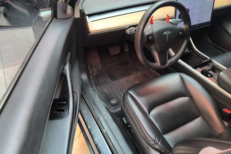 Used Tesla Model 3 2020 Standard Range Rear-Wheel Drive Upgraded Version Driver Seat