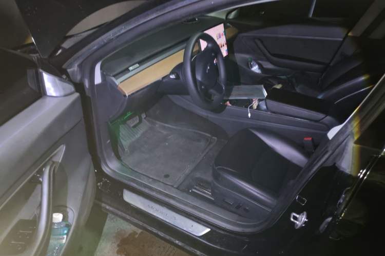 Used Tesla Model 3 2020 Standard Range Rear-Wheel Drive Upgraded Version Driver Seat