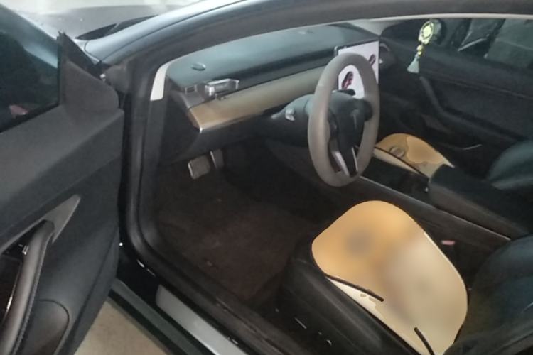 Used Tesla Model 3 2020 Standard Range Rear-Wheel Drive Upgraded Version Driver Seat