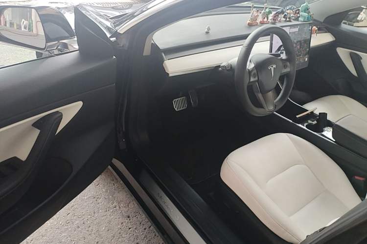 Used Tesla Model 3 2020 Standard Range Rear-Wheel Drive Upgraded Version Driver Seat