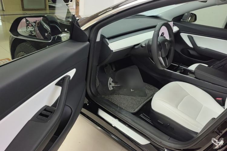 Used Tesla Model 3 2020 Standard Range Rear-Wheel Drive Upgraded Version Driver Seat