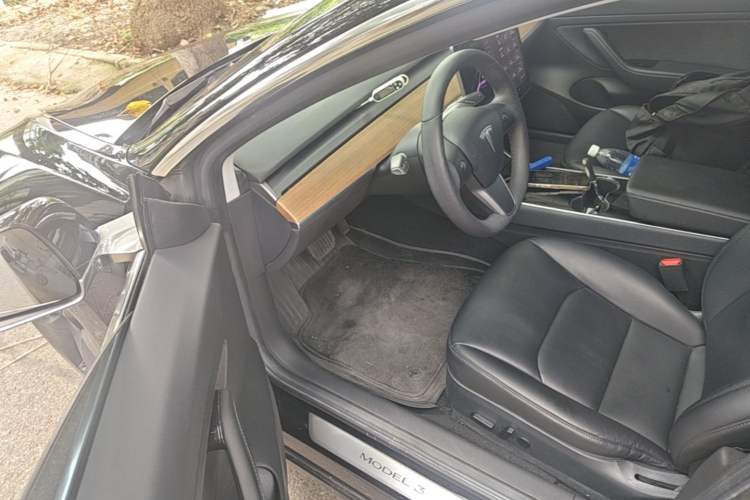 Used Tesla Model 3 2020 Standard Range Rear-Wheel Drive Upgraded Version Driver Seat