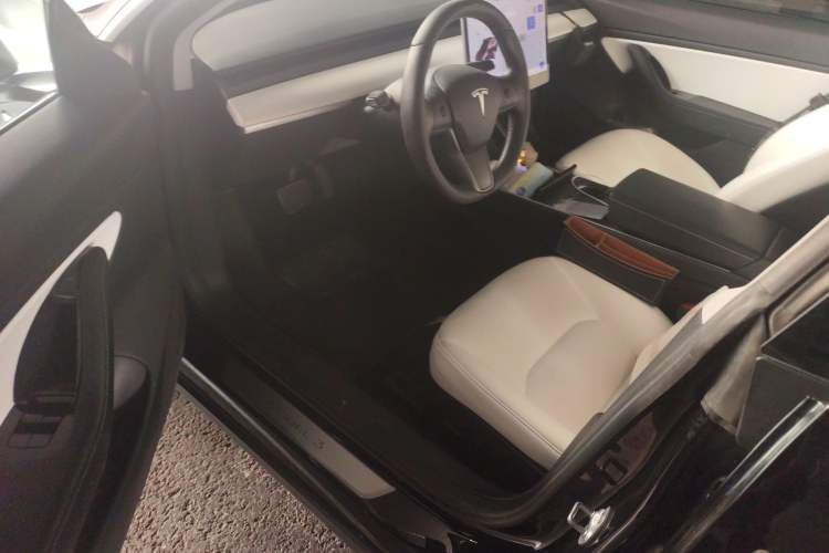 Used Tesla Model 3 2020 Standard Range Rear-Wheel Drive Upgraded Version Driver Seat