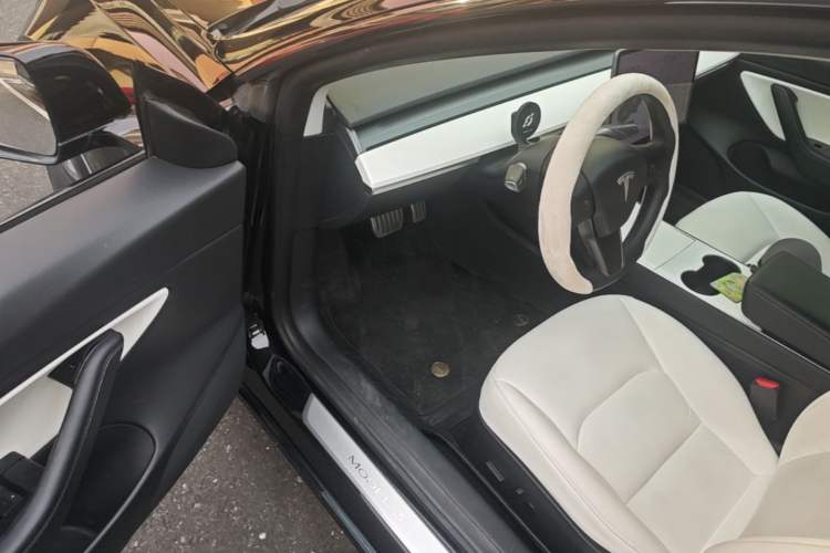 Used Tesla Model 3 2020 Standard Range Rear-Wheel Drive Upgraded Version Driver Seat