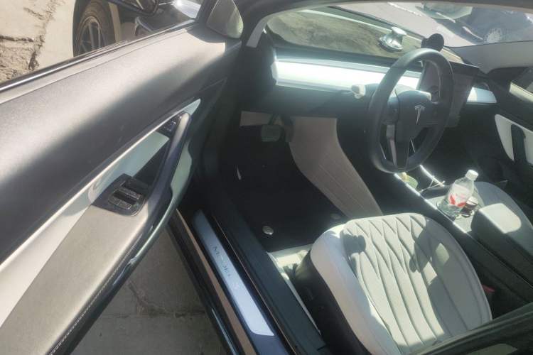Used Tesla Model 3 2020 Standard Range Rear-Wheel Drive Upgraded Version Driver Seat