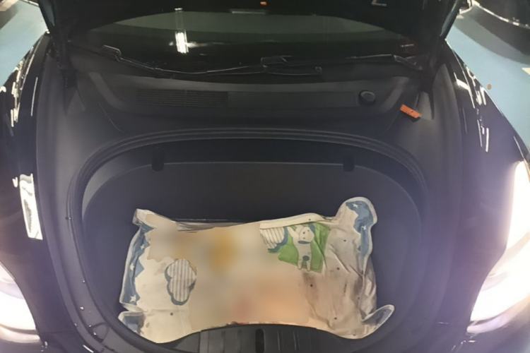 Used Tesla Model 3 2020 Revised Version Standard Range Rear-Wheel Drive – Upgraded Edition Engine Bay
