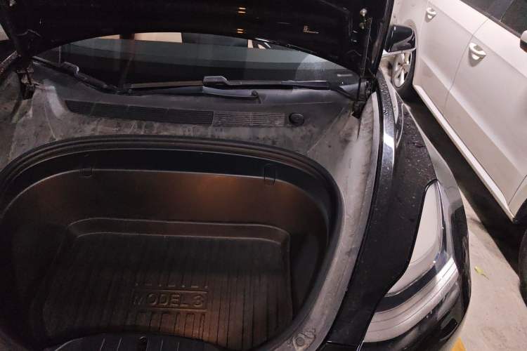 Used Tesla Model 3 2020 Standard Range Rear-Wheel Drive Upgraded Version Engine Bay Left