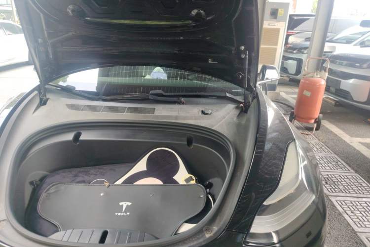 Used Tesla Model 3 2020 Standard Range Rear-Wheel Drive Upgraded Version Engine Bay Left