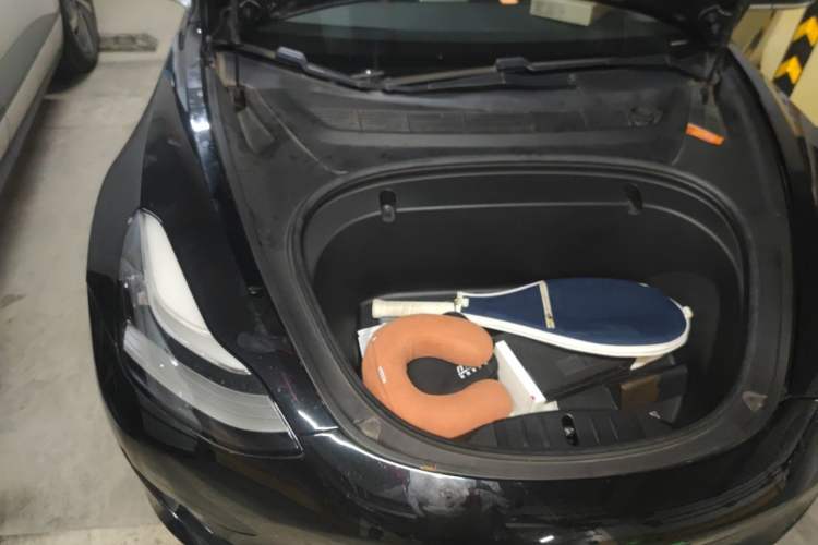 Used Tesla Model 3 2020 Standard Range Rear-Wheel Drive Upgraded Version Engine Bay Right