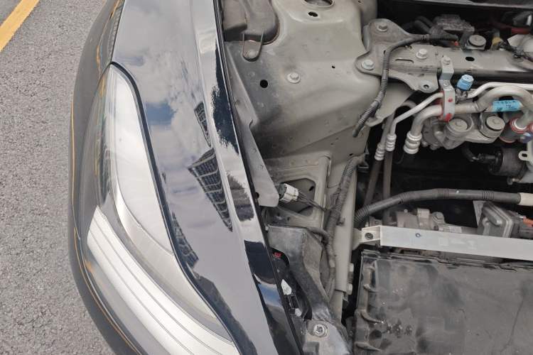 Used Tesla Model 3 2020 Revised Version Standard Range Rear-Wheel Drive – Upgraded Edition Engine Bay Right