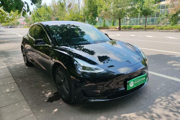 Used Tesla Model 3 2020 Revised Version Standard Range Rear-Wheel Drive – Upgraded Edition Exterior 1