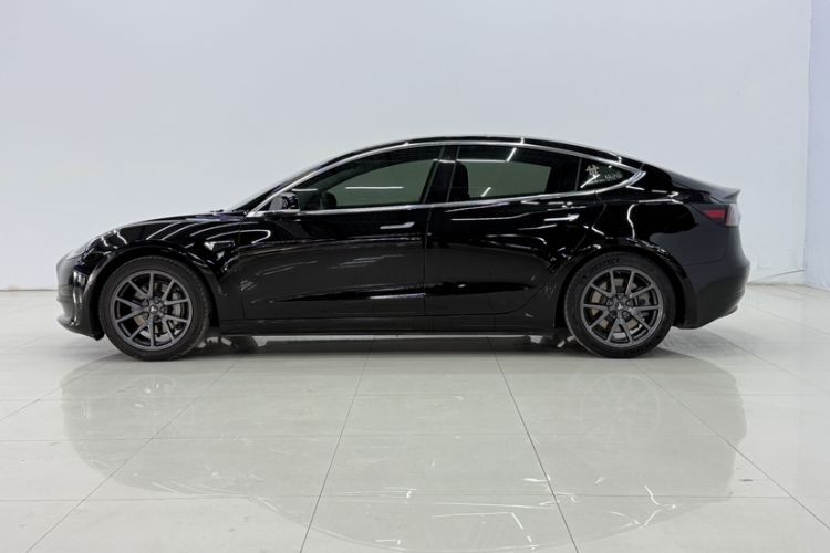 Used Tesla Model 3 2020 Standard Range Rear-Wheel Drive Upgraded Version Exterior 10