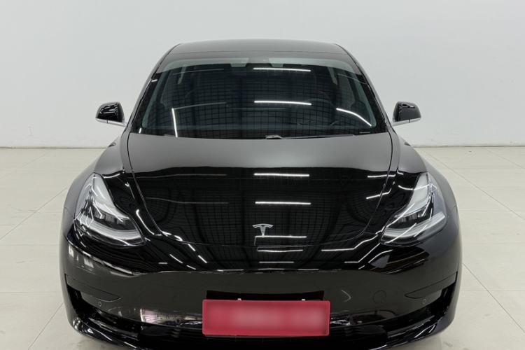 Used Tesla Model 3 2020 Standard Range Rear-Wheel Drive Upgraded Version Exterior 12