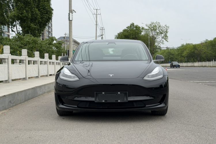 Used Tesla Model 3 2020 Revised Version Standard Range Rear-Wheel Drive – Upgraded Edition Exterior 2