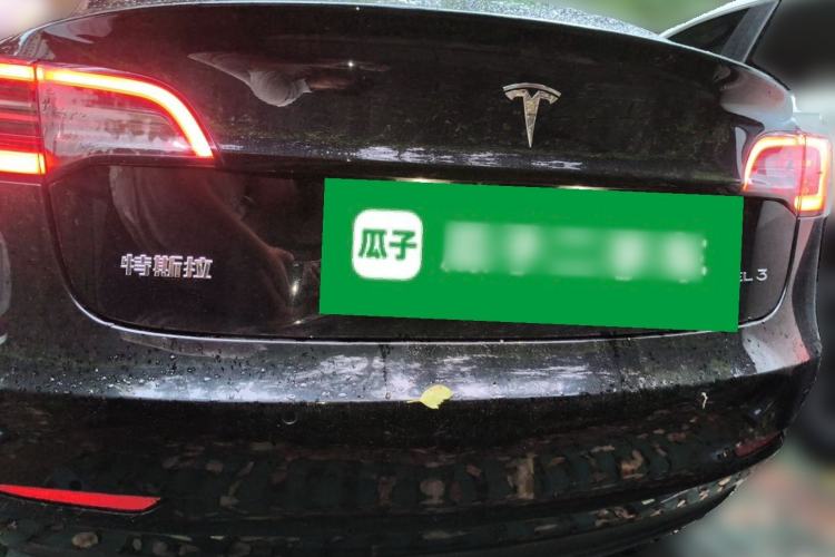 Used Tesla Model 3 2020 Standard Range Rear-Wheel Drive Upgraded Version Exterior 4