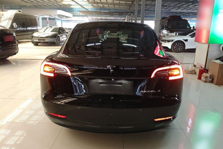 Used Tesla Model 3 2020 Standard Range Rear-Wheel Drive Upgraded Version Exterior 4