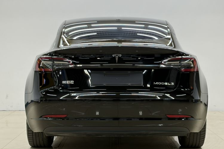Used Tesla Model 3 2020 Revised Version Standard Range Rear-Wheel Drive – Upgraded Edition Exterior 4