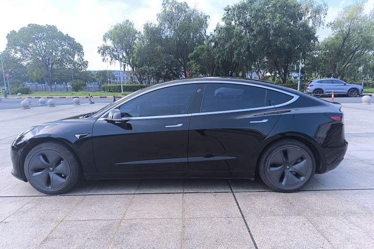 Used Tesla Model 3 2020 Standard Range Rear-Wheel Drive Upgraded Version Exterior 4