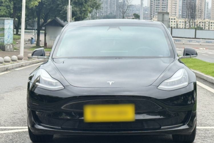 Used Tesla Model 3 2020 Standard Range Rear-Wheel Drive Upgraded Version Exterior 4