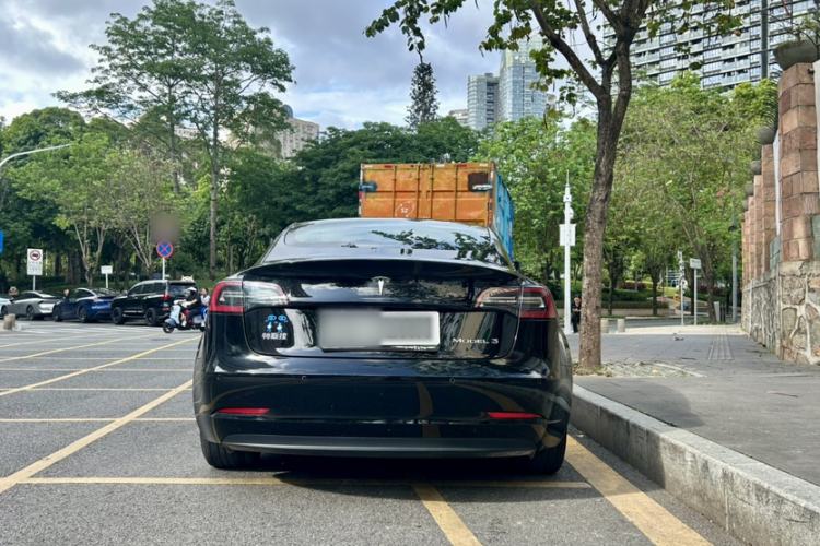 Used Tesla Model 3 2020 Standard Range Rear-Wheel Drive Upgraded Version Exterior 5