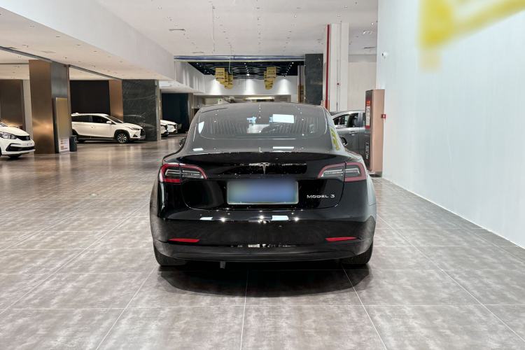 Used Tesla Model 3 2020 Standard Range Rear-Wheel Drive Upgraded Version Exterior 5