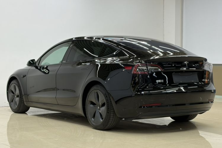 Used Tesla Model 3 2020 Revised Version Standard Range Rear-Wheel Drive – Upgraded Edition Exterior 5