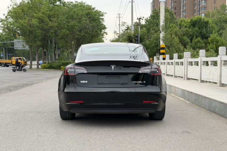 Used Tesla Model 3 2020 Revised Version Standard Range Rear-Wheel Drive – Upgraded Edition Exterior 5