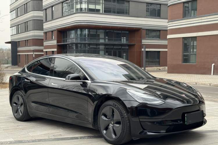 Used Tesla Model 3 2020 Standard Range Rear-Wheel Drive Upgraded Version Exterior 5