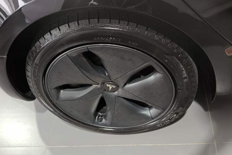 Used Tesla Model 3 2020 Revised Version Standard Range Rear-Wheel Drive – Upgraded Edition Exterior 5