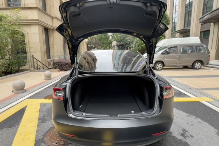 Used Tesla Model 3 2020 Standard Range Rear-Wheel Drive Upgraded Version Exterior 6