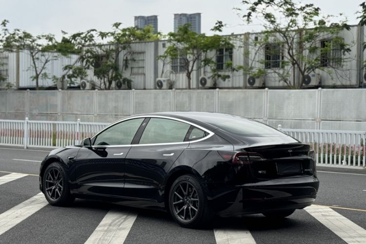 Used Tesla Model 3 2020 Revised Version Standard Range Rear-Wheel Drive – Upgraded Edition Exterior 6