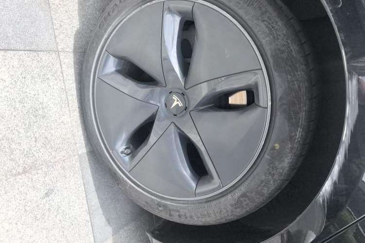 Used Tesla Model 3 2020 Standard Range Rear-Wheel Drive Upgraded Version Exterior 7