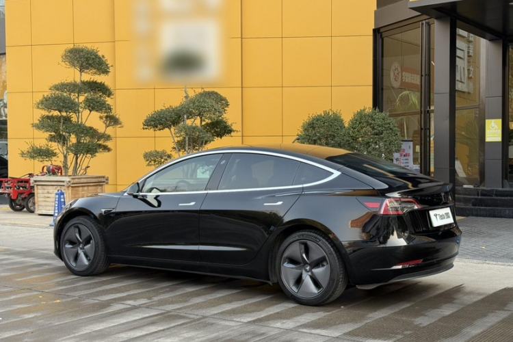 Used Tesla Model 3 2020 Standard Range Rear-Wheel Drive Upgraded Version Exterior 7