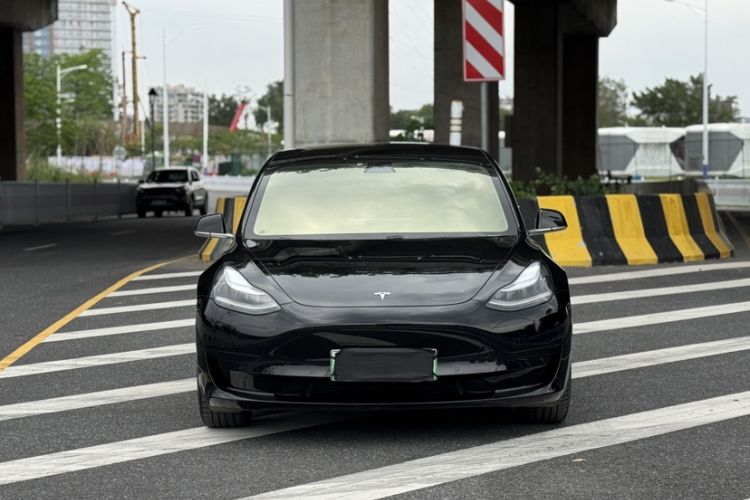 Used Tesla Model 3 2020 Revised Version Standard Range Rear-Wheel Drive – Upgraded Edition Exterior 8